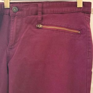 Smart Set wine colour skinny pant